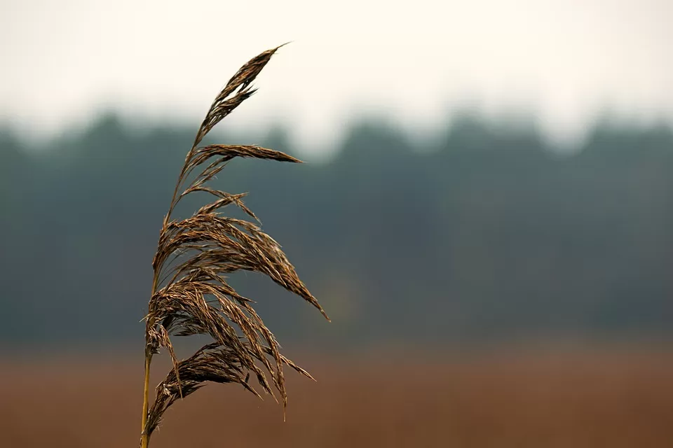 Avrupa’da Gezilecek En Romantik Şehirler ve Çiftler İçin Unutulmaz Anılar