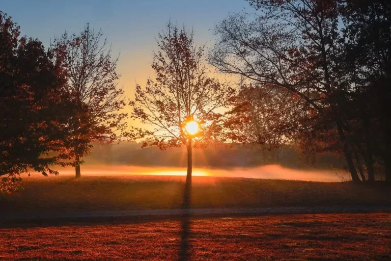 Yeni Bir Dil Öğrenmeye Başlamak İçin Kullanılabilecek En Kolay ve Etkili Yöntemler