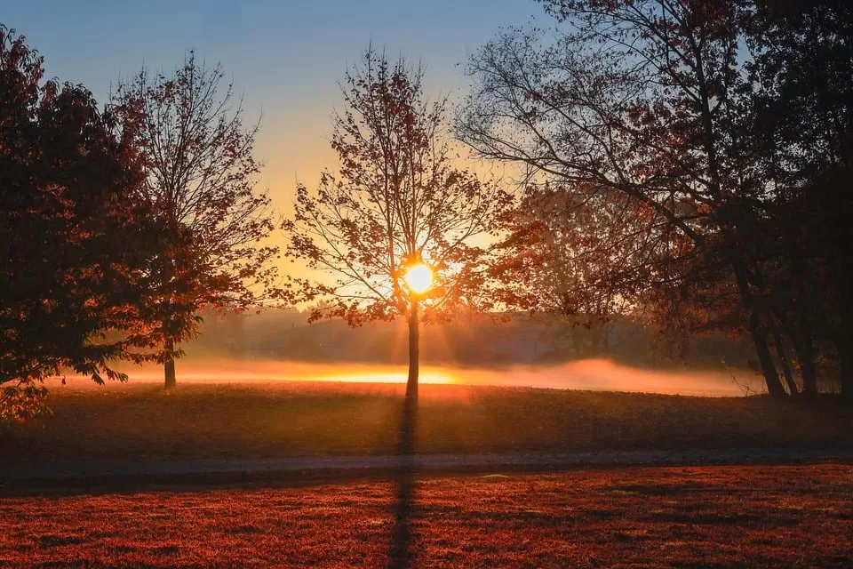 Yeni Bir Dil Öğrenmeye Başlamak İçin Kullanılabilecek En Kolay ve Etkili Yöntemler