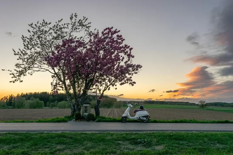 Blog veya Kurumsal Site Açarken WordPress mi Yoksa Farklı Platformlar mı Tercih Edilmeli?